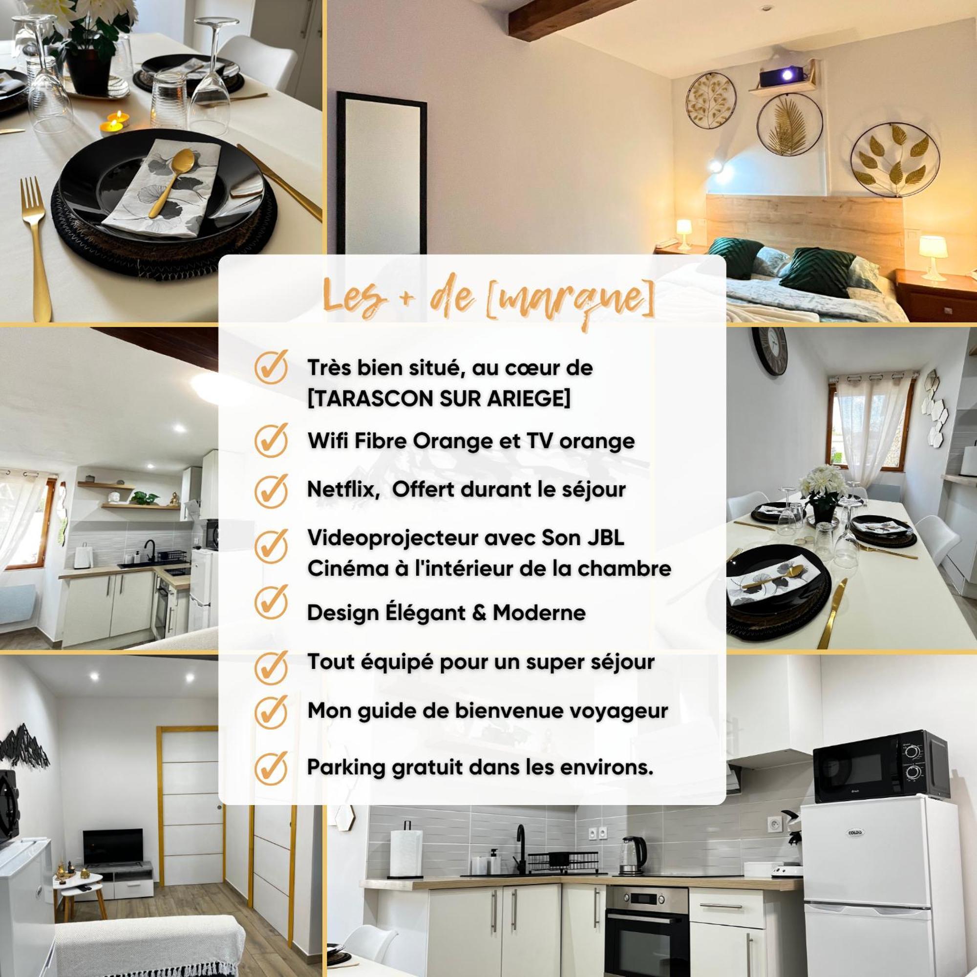Beau Petit Appartement Au Coeur De L'Ariege. Тараскон-сюр-Арьеж Экстерьер фото